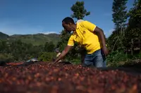 Fresh coffee from Colombia