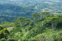 A view of José Burbano's farm in San Agustín, Colombia